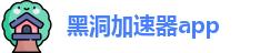 黑洞加速器app